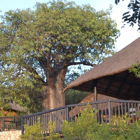Adansonia Eco Lodge Musina Kültér fotó