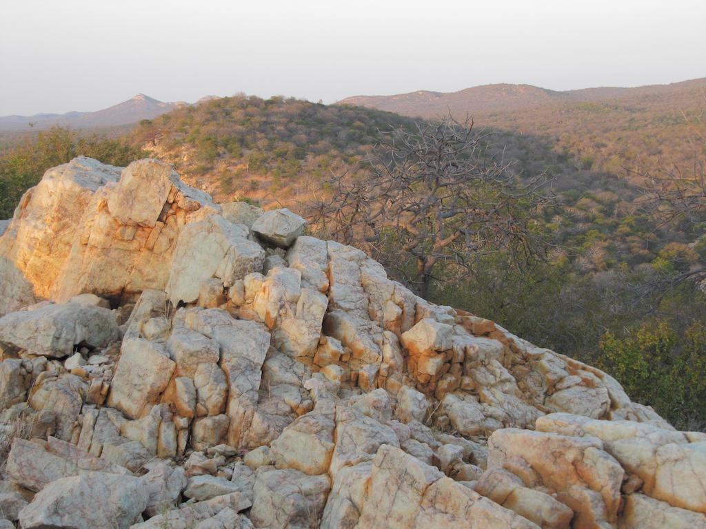 Adansonia Eco Lodge Musina Kültér fotó