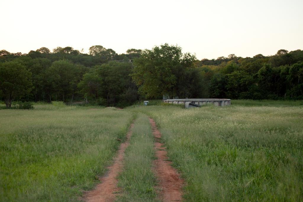 Adansonia Eco Lodge Musina Kültér fotó