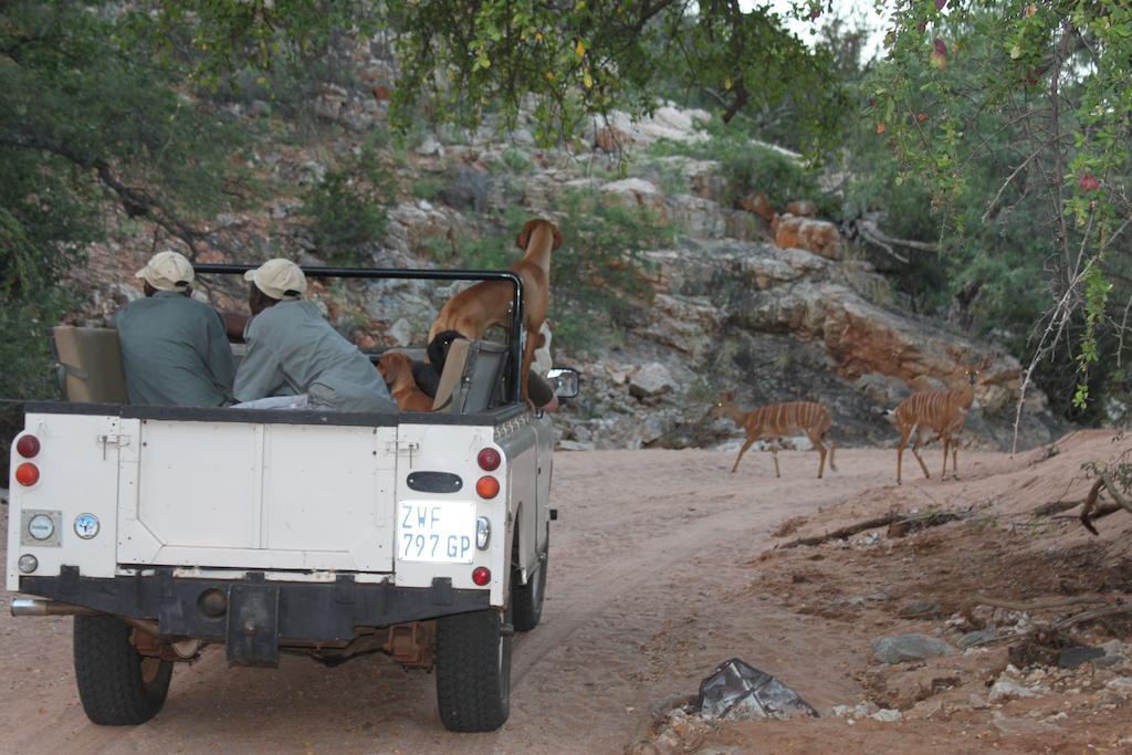 Adansonia Eco Lodge Musina Kültér fotó
