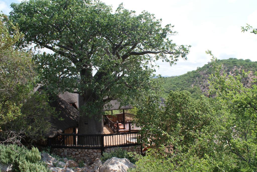 Adansonia Eco Lodge Musina Kültér fotó