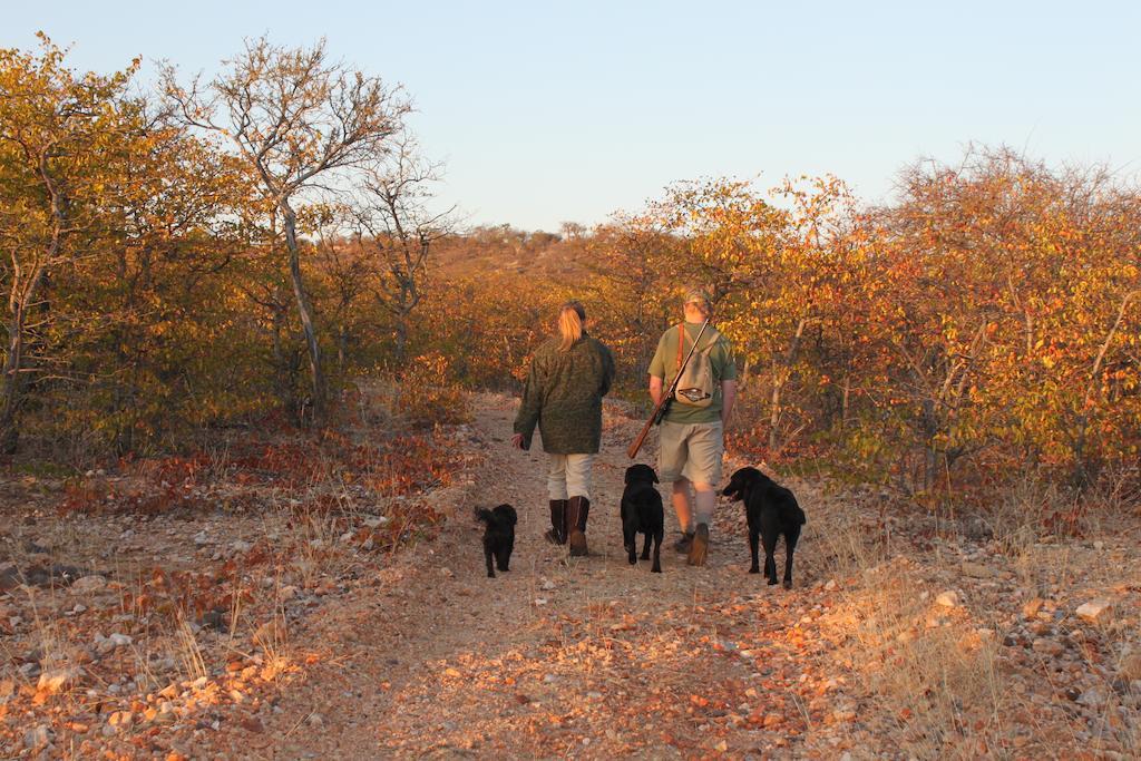 Adansonia Eco Lodge Musina Kültér fotó