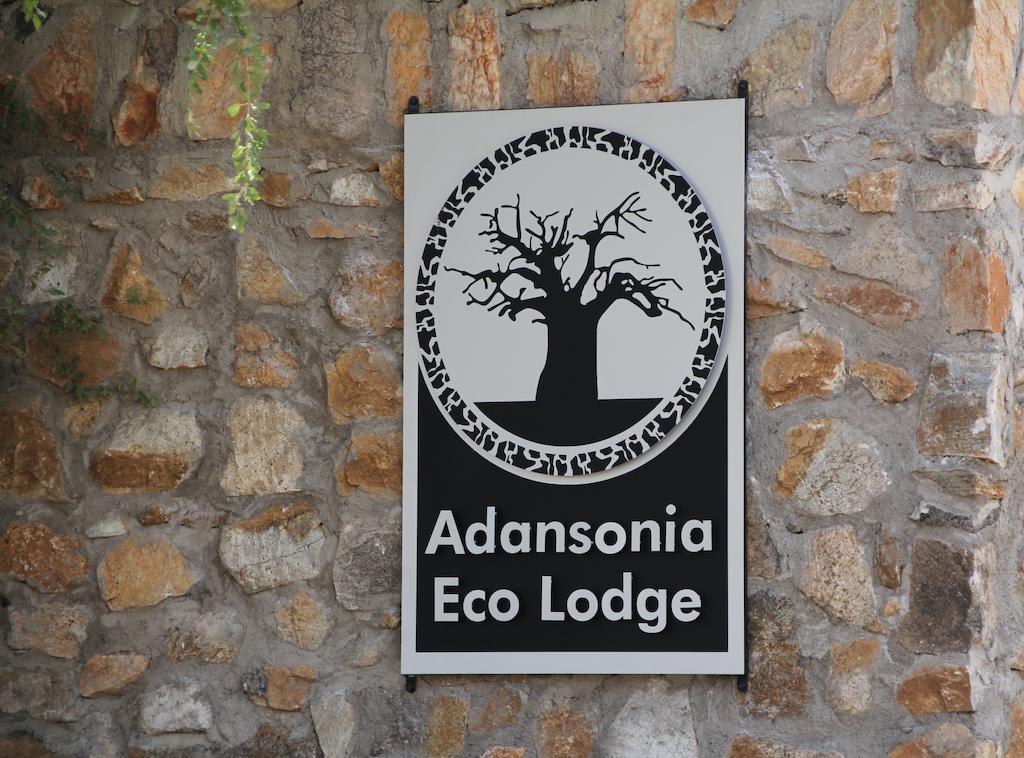 Adansonia Eco Lodge Musina Kültér fotó