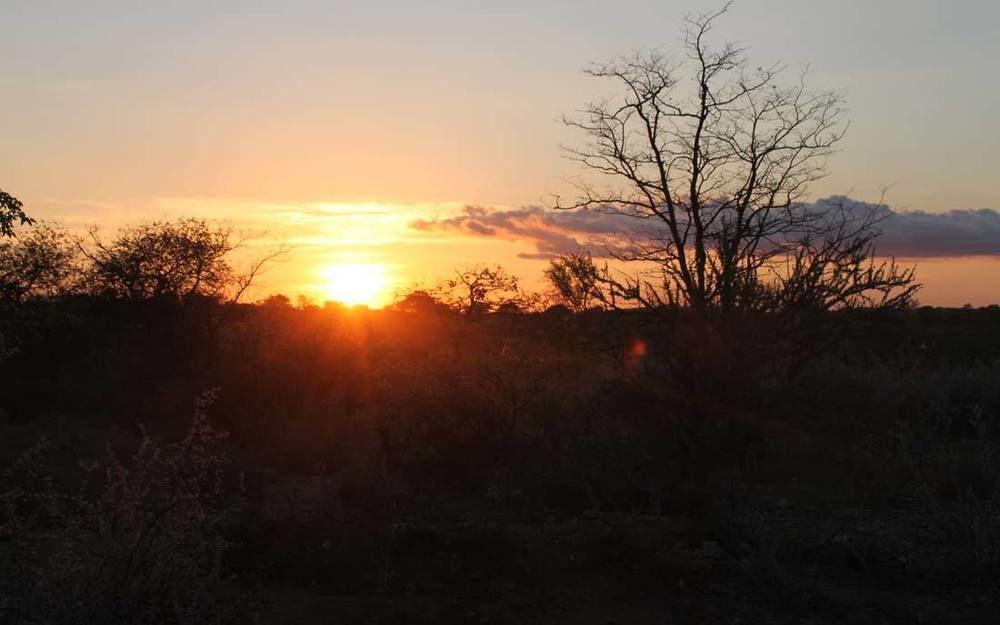 Adansonia Eco Lodge Musina Kültér fotó