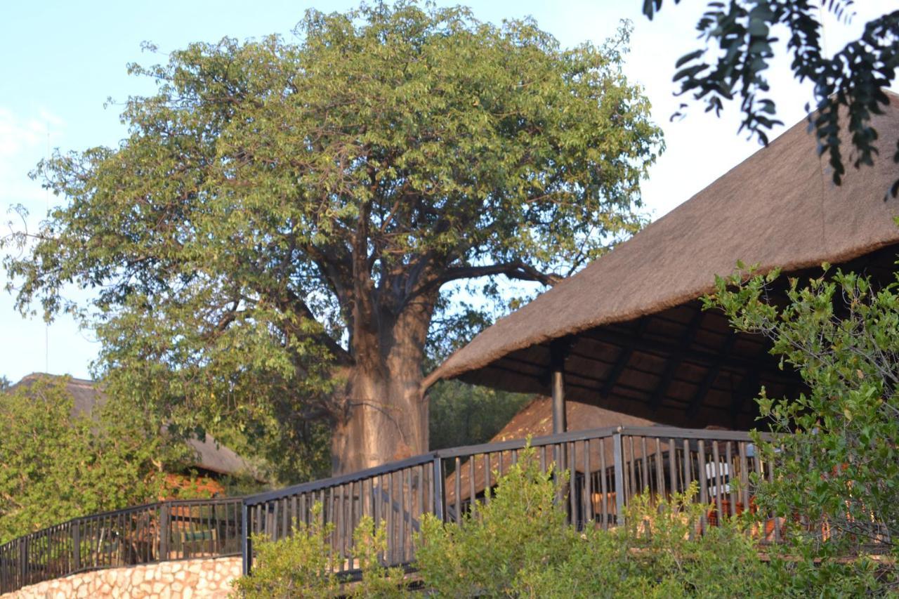 Adansonia Eco Lodge Musina Kültér fotó