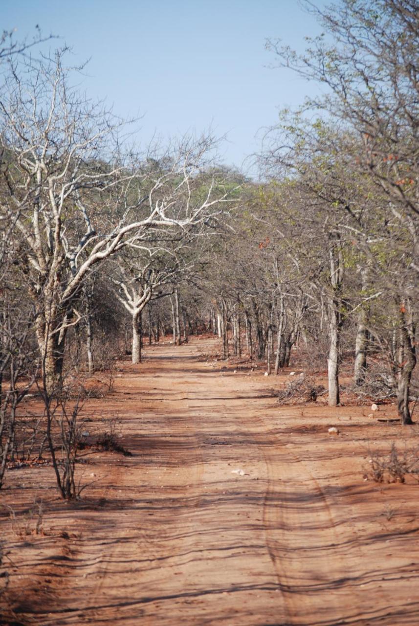 Adansonia Eco Lodge Musina Kültér fotó